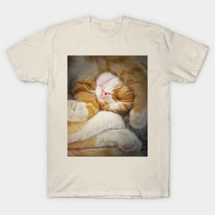 sleepy ginger T-Shirt